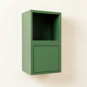 Elm Dale Wall-Mounted Entry Cabinet - Green (synthetic illustration; no displayed measurements)