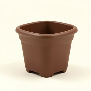 Souderton Self-Watering Plastic Elevated Planter (synthetic illustration; no displayed measurements)