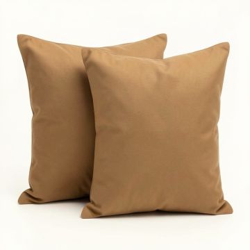 Two Throw Pillow (synthetic illustration; no displayed measurements)