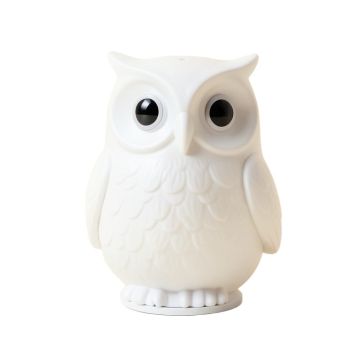 Owl Bluetooth Speaker Night Light