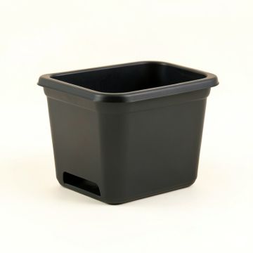 Bay Crossing Empty Raised Planter - Black (synthetic illustration; no displayed measurements)
