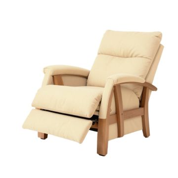 Adrit 41 '' Wide Power Lift Assist Standard Recliner
