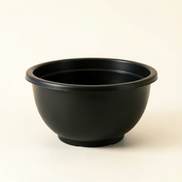 Wren Bluff Empty Planter - Black (synthetic illustration; no displayed measurements)
