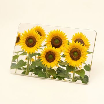 Counterart Tempered Glass Sunflower Fields Cutting Board (synthetic illustration; no displayed measurements)