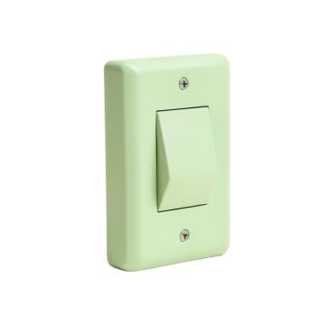 Think Earth Day Conserve Energy Eco-Friendly Light Bulb 1-Gang Toggle Light Switch Wall Plate