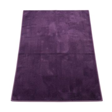 Holtz Purple Area Rug (synthetic illustration; no displayed measurements)