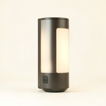 Erikson Led Outdoor Armed Sconce (synthetic illustration; no displayed measurements)