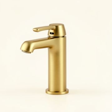 Eva Bathroom Faucet (synthetic illustration; no displayed measurements)