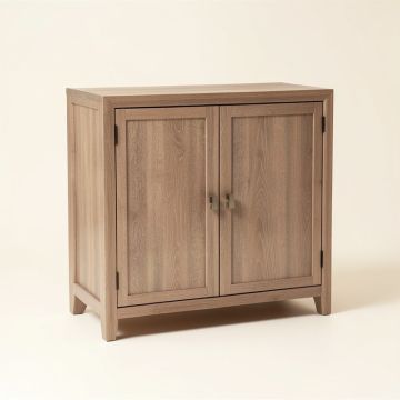 Dinapoli 2 Door Accent Cabinet (synthetic illustration; no displayed measurements)