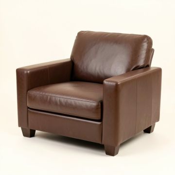 Hoppe 79 '' Pillow Top Arm Loveseat (synthetic illustration; no displayed measurements)