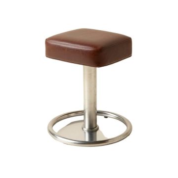 Jakobe Adjustable Height Swivel Bar Stool