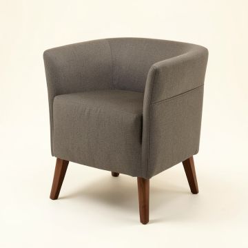 Neeley Arm Chair (synthetic illustration; no displayed measurements)