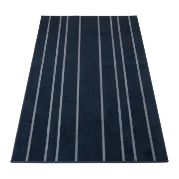 Lake Bluff Rectangular Area Rug - Navy
