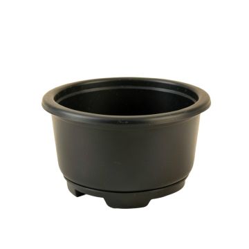 Hazel Bridge Empty Raised Planter - Black