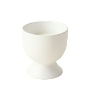 Olive Crest Empty Candle Holder - White