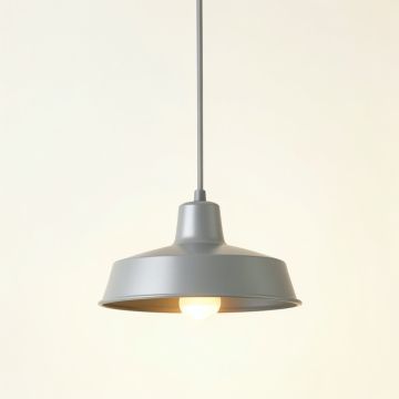 Hazel Brook Pendant Light Suspended From One Plain Cable - Gray (synthetic illustration; no displayed measurements)