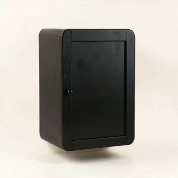 Field Branch Wall-Mounted Laundry Cabinet - Black (synthetic illustration; no displayed measurements)