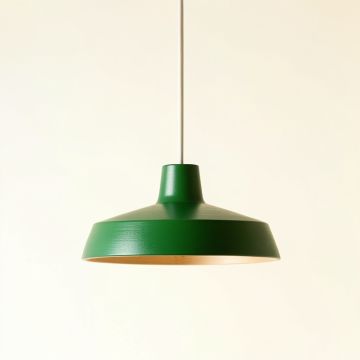 Elm Bend Pendant Light Suspended From One Plain Cable - Green (synthetic illustration; no displayed measurements)