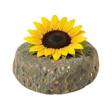 Lusher Sunflower Lady Garden Stepping Stone