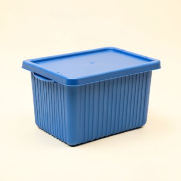 Reed Arc Closed Outdoor Storage Box - Blue (synthetic illustration; no displayed measurements)