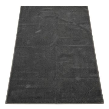 Brandt Oriental Dark Gray Area Rug