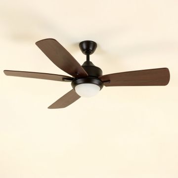 42 '' Raseborg 5 - Blade Standard Ceiling Fan (synthetic illustration; no displayed measurements)
