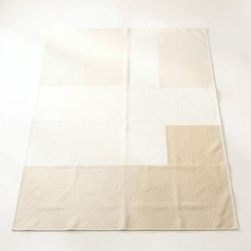 Meadow Arc Rectangular Area Rug - Ivory (synthetic illustration; no displayed measurements)