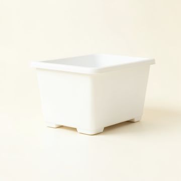 Willow Branch Empty Raised Planter - White (synthetic illustration; no displayed measurements)
