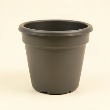 Cordeiro Self-Watering Polypropylene Pot Planter (synthetic illustration; no displayed measurements)