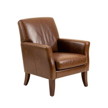 Lanigan Leather Arm Chair (synthetic illustration; no displayed measurements)