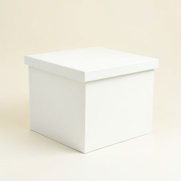 Olive Arc Closed Outdoor Storage Box - White (synthetic illustration; no displayed measurements)