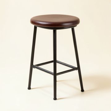 Haaris Bar & Counter Stool (synthetic illustration; no displayed measurements)