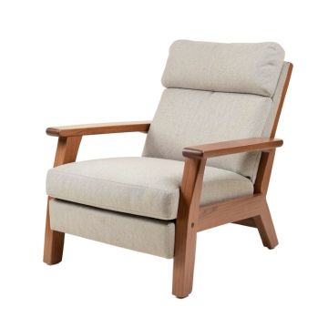 Arnetia 34.6 '' Wide Power Lift Assist Standard Recliner