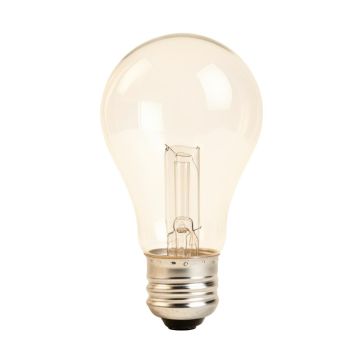 Light Bulb