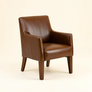 Haymarket Upholstered Dining Chair (synthetic illustration; no displayed measurements)