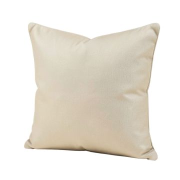 Throw Pillow (synthetic illustration; no displayed measurements)