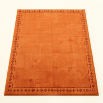 Briar Branch Rectangular Area Rug - Terracotta (synthetic illustration; no displayed measurements)