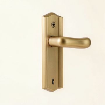 Waterfront Keyed Door Lever (synthetic illustration; no displayed measurements)
