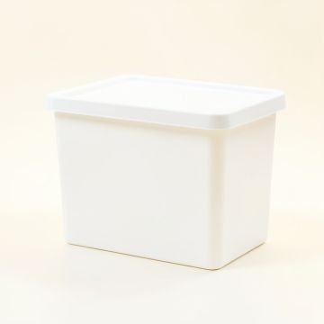 Cove Bluff Closed Outdoor Storage Box - White (synthetic illustration; no displayed measurements)