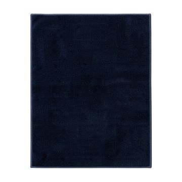 Hillsby Garnet/Navy Area Rug