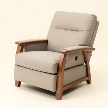 49 '' Wide Power Lift Assist Standard Recliner With Massager (synthetic illustration; no displayed measurements)