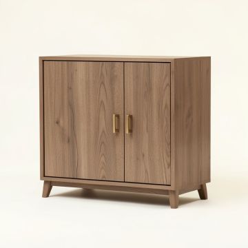 Kayne 2 Door Accent Cabinet (synthetic illustration; no displayed measurements)