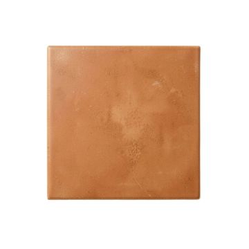 Briar Bridge Uninstalled Square Decorative Tile - Terracotta