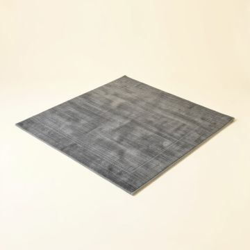 Gray Rug (synthetic illustration; no displayed measurements)
