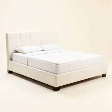 Rachna Upholstered Platform Bed (synthetic illustration; no displayed measurements)