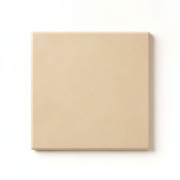 Briar Crossing Uninstalled Square Decorative Tile - Beige (synthetic illustration; no displayed measurements)