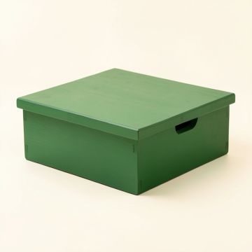 Laurel Branch Low Toy Storage Unit - Green (synthetic illustration; no displayed measurements)