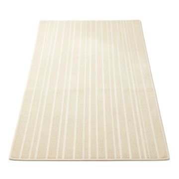 Dune Bluff Rectangular Area Rug - Ivory