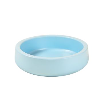 Large Automatic Water Dish