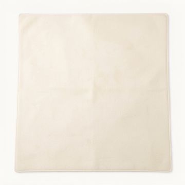 Baranof Oriental Ivory Area Rug (synthetic illustration; no displayed measurements)